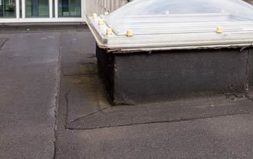 disadvantages of Mite Houses flat roofs