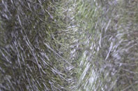 Mite Houses fibreglass roof work